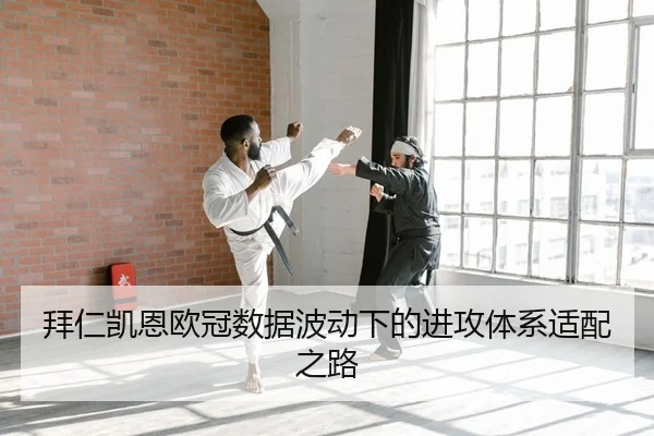 拜仁凯恩欧冠数据波动下的进攻体系适配之路
